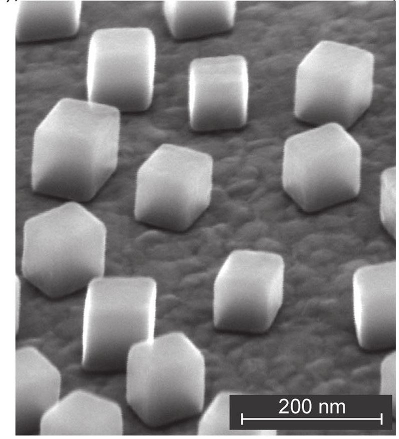 Scanning electron micrograph of silver nanocubes standing on a gold film.